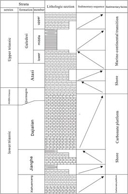 Geochemical and Petrographic Characterization of Marine-Continental Transitional Facies Shale (Qilian Basin, China): Origin of Organic Matter Input, Depositional Environments and Hydrocarbon Generation Potential